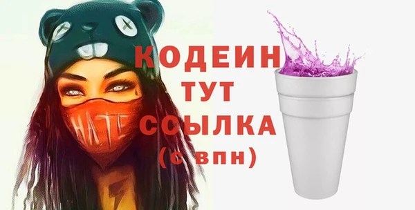 амф Няндома