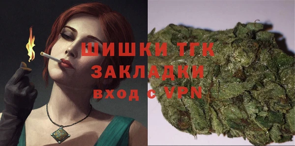 амф Няндома