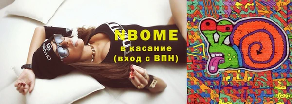 гашик Новокубанск