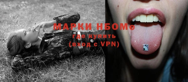 амф Няндома