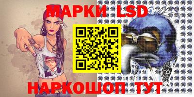 шишки Заволжье