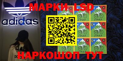 шишки Заволжье