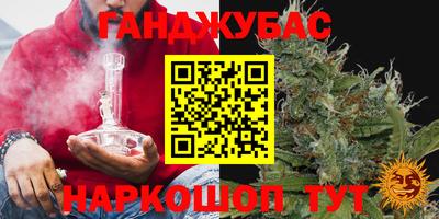 шишки Заволжье
