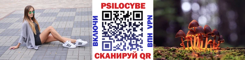 Псилоцибиновые грибы MAGIC MUSHROOMS  Лениногорск 