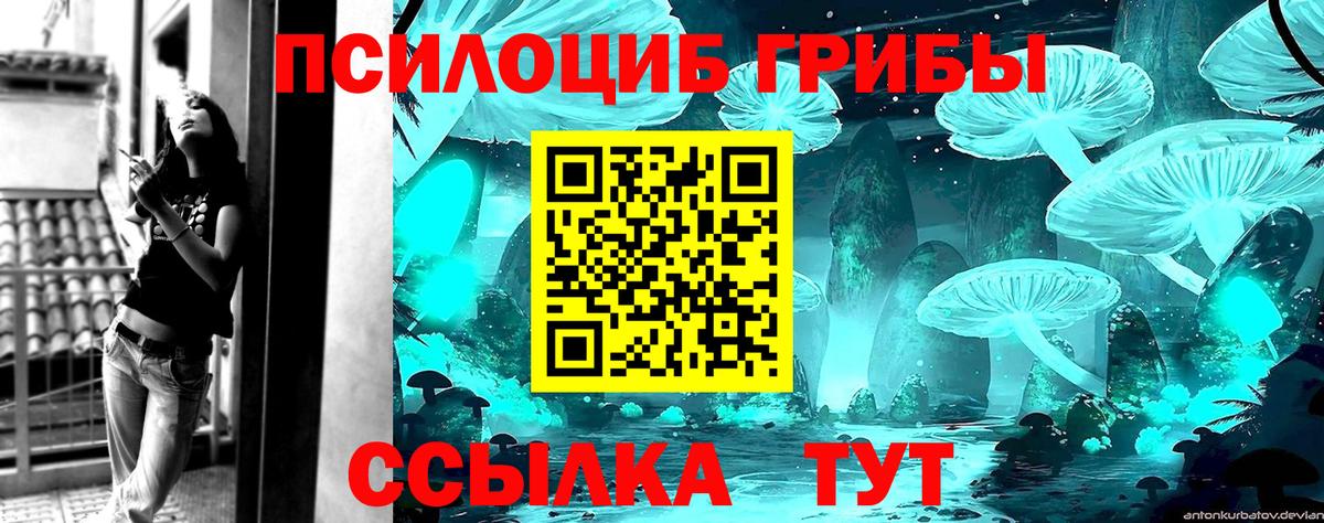 Галлюциногенные грибы Psilocybe Лениногорск